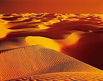 育碧老板终于确认《不羁联盟》表现“落后于预期”