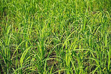 动视暴雪首席运营官将入职Yuga Labs 担任同职位